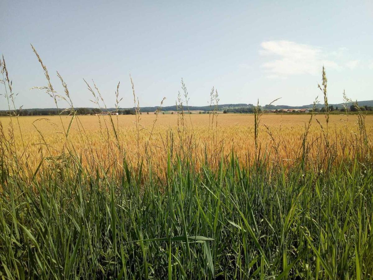 Apartma Max Moravske Toplice Esterno foto